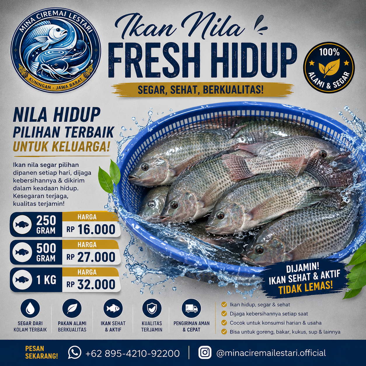 Ikan Nila Hidup